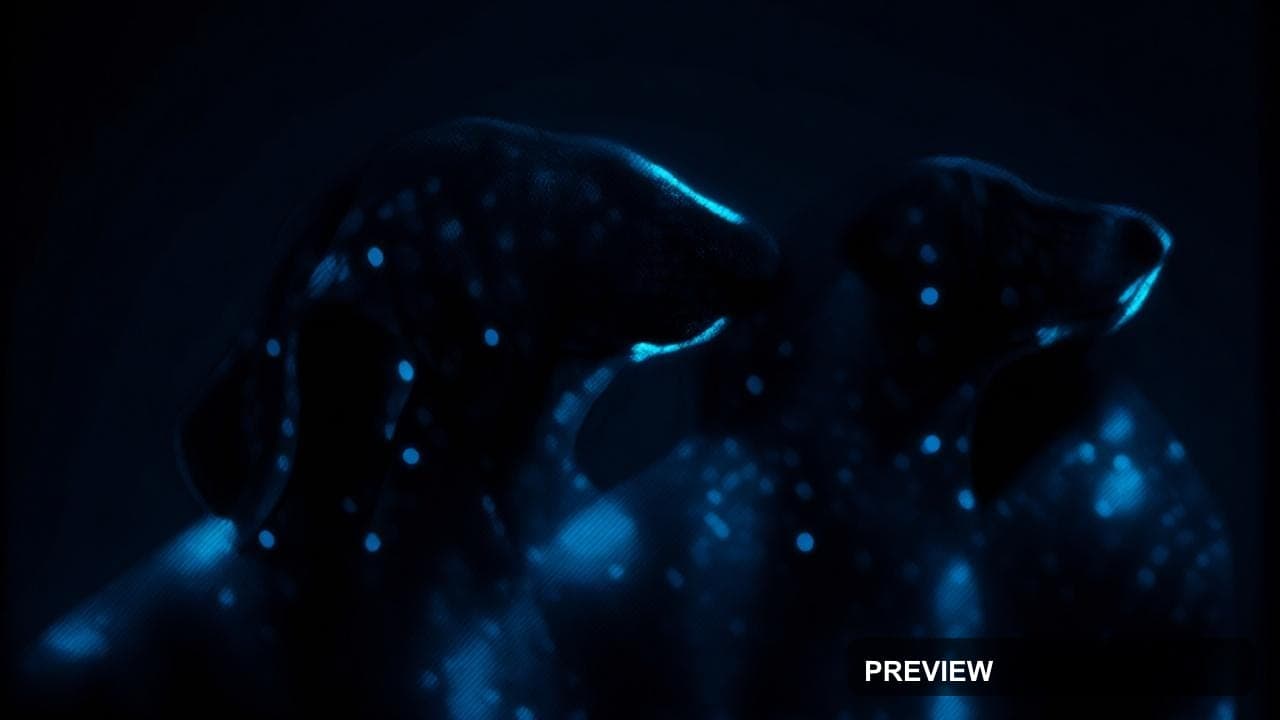 Dogs, Neon Noir aesthetic, Monochrome, Serene mood, Neon Blue accents, Dots p... — wallpaper — 1280×720, Neon, Cinematic, Serene