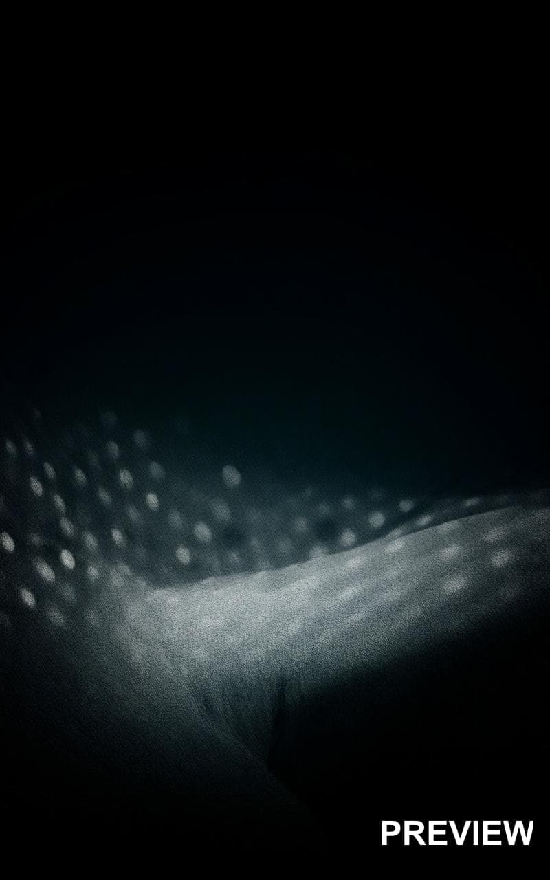Glacier, Dark aesthetic, Abstract, Nostalgic mood, Monochrome accents, Polka ... — wallpaper — 800×1280, Space, Cinematic, Dark