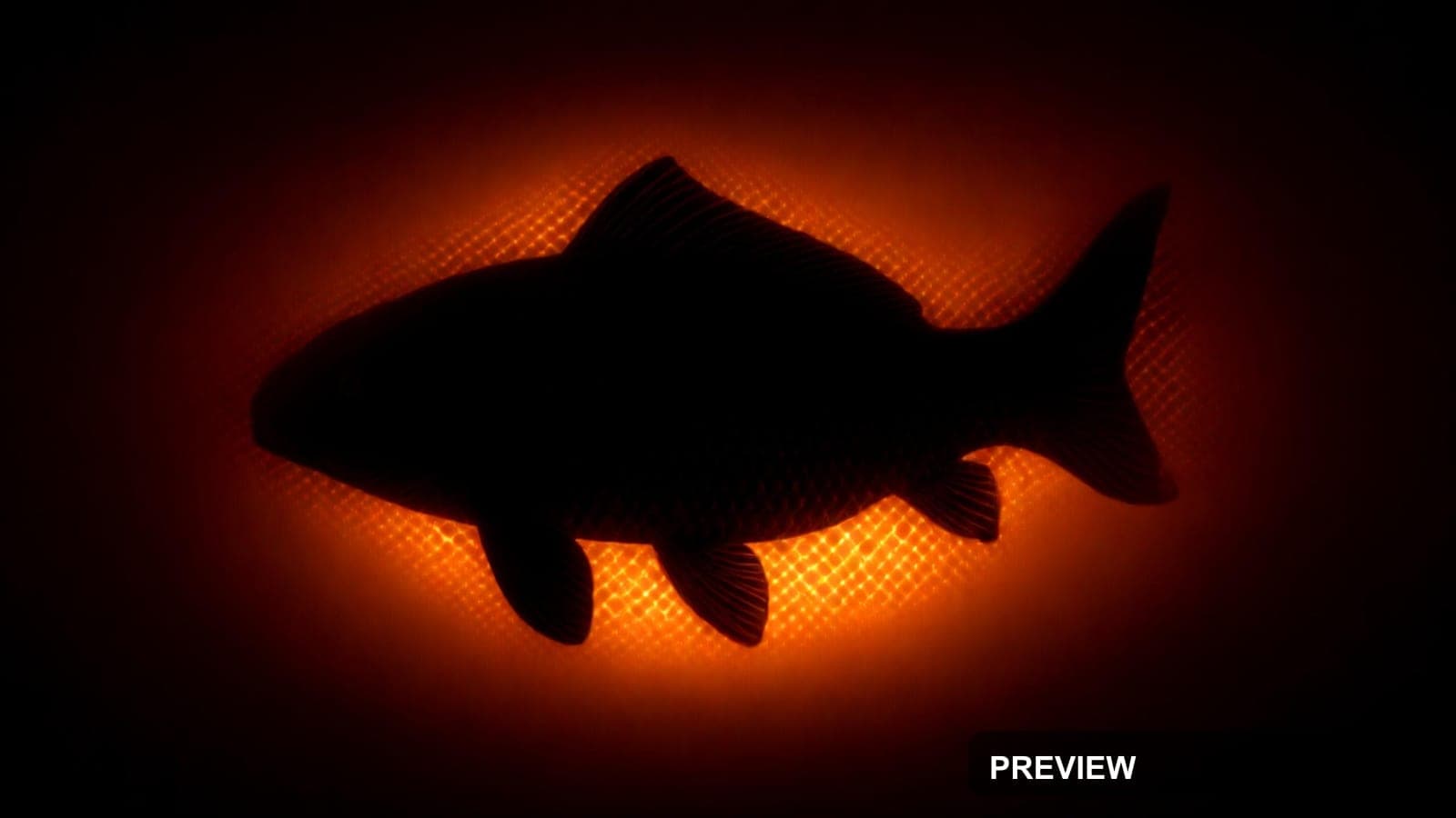 Koi Fish, Dark aesthetic, Silhouette, Mysterious mood, Warm Palette accents, ... — wallpaper — 2560×1440, Space, Cinematic, Mysterious