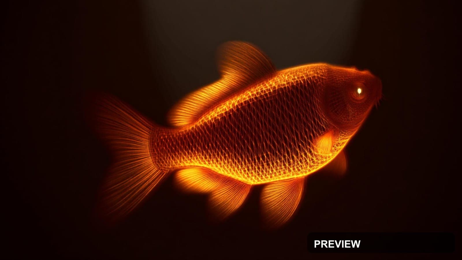 Koi Fish, Steampunk aesthetic, Wireframe, Epic mood, Brown accents, Neon Wire... — wallpaper — 1920×1080, Neon, Cinematic, Soft