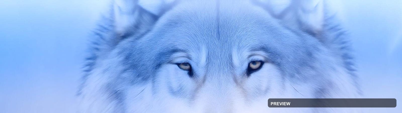 Wolves, Cozy aesthetic, Macro, Cozy mood, Ice Tones accents, Spirals pattern,... — wallpaper — 1920×540, Space, Cinematic, Cozy