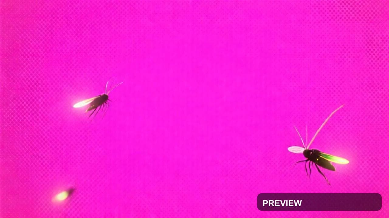 Fireflies, Luxury aesthetic, Photorealistic, Calm mood, Pink accents, Halfton... — wallpaper — 1280×720, Space, Photorealistic, Calm