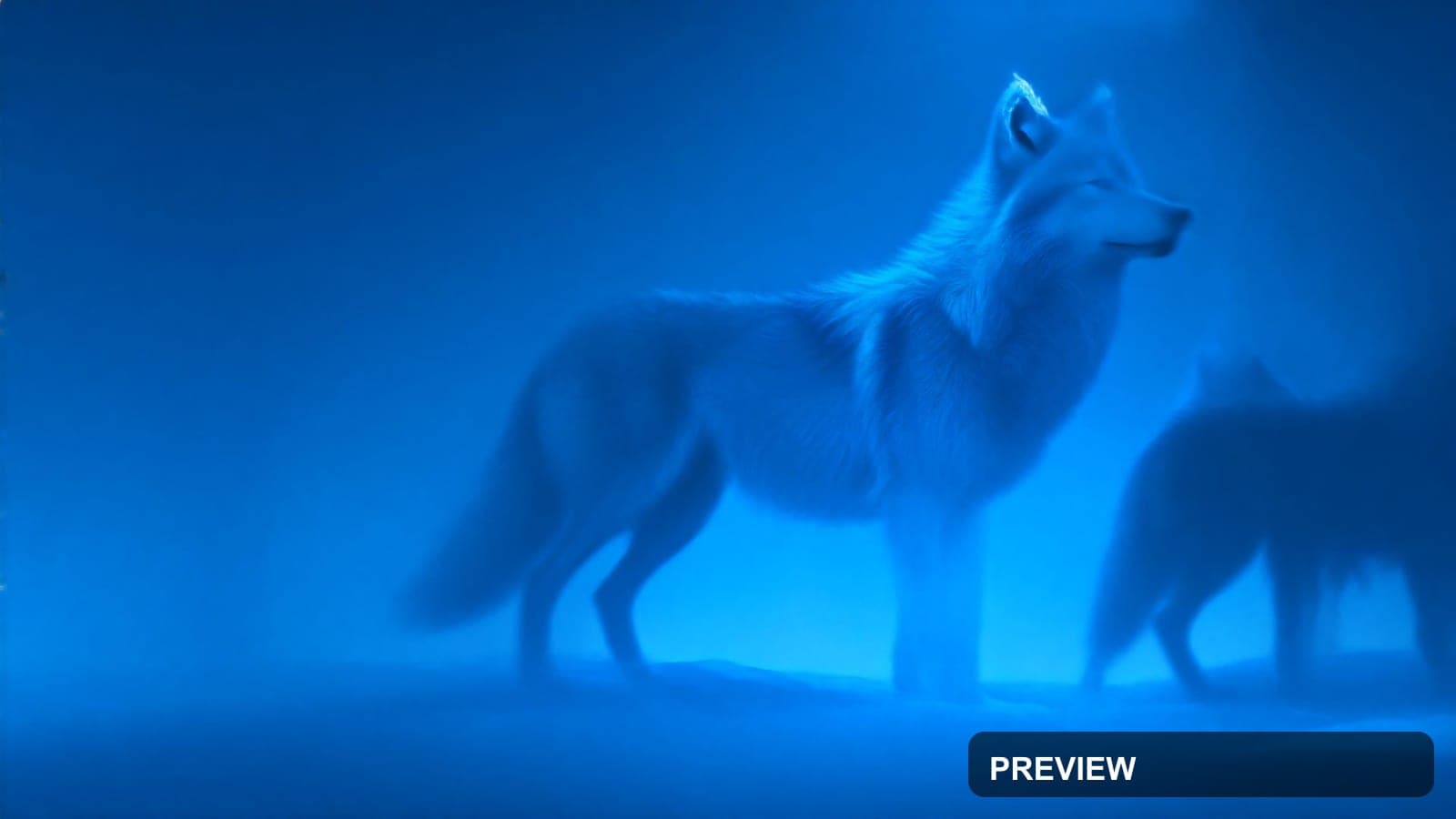 Wolves, Mythic aesthetic, Album Cover, Energetic mood, Ice Tones accents, hig... — wallpaper — 3840×2160, Space, Cinematic, Energetic