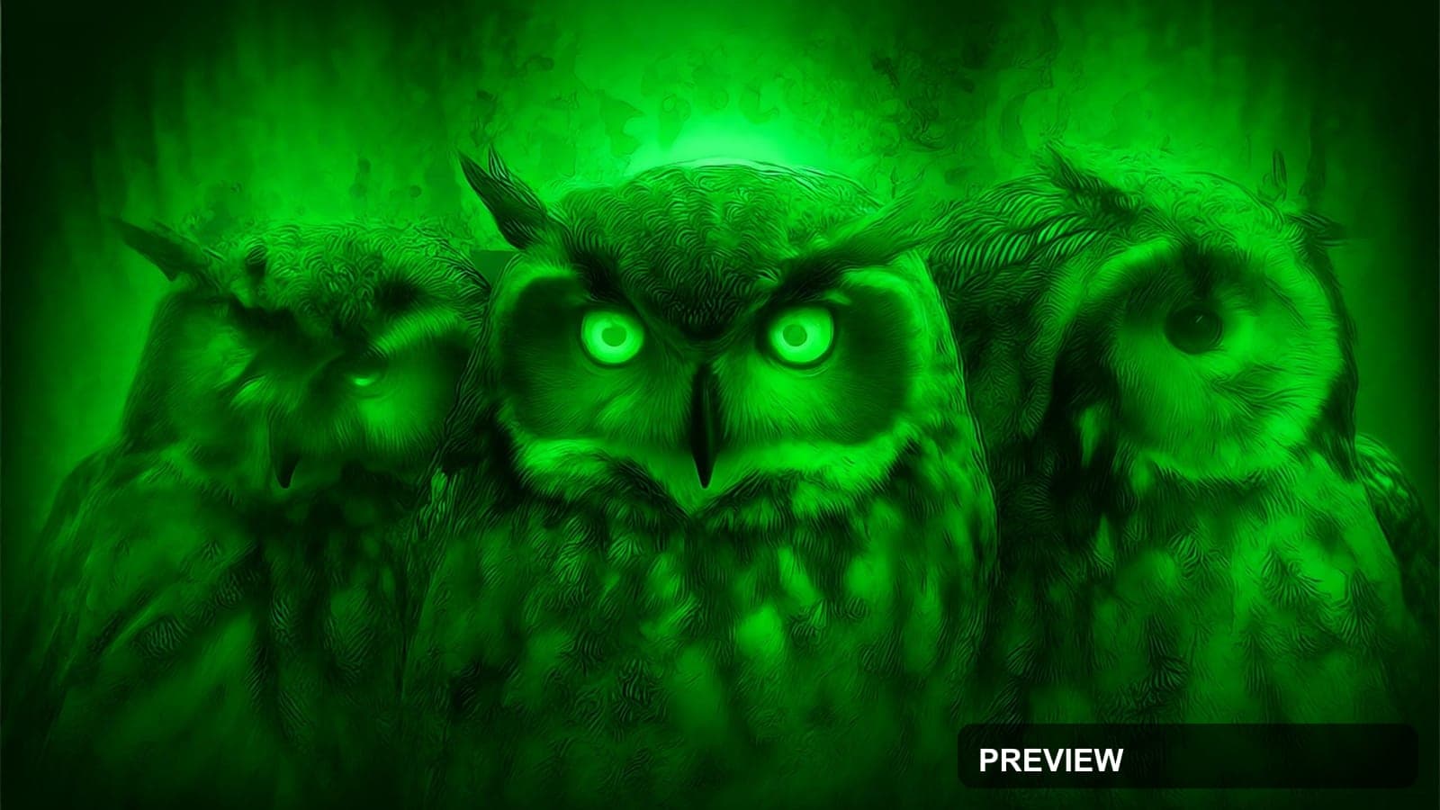 Owls, Surreal aesthetic, Graffiti, Bold mood, Green accents, high detail, ult... — wallpaper — 2560×1440, Space, Cinematic, Bold